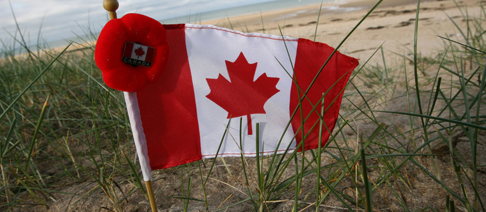Canadian flag on a beach with a poppy