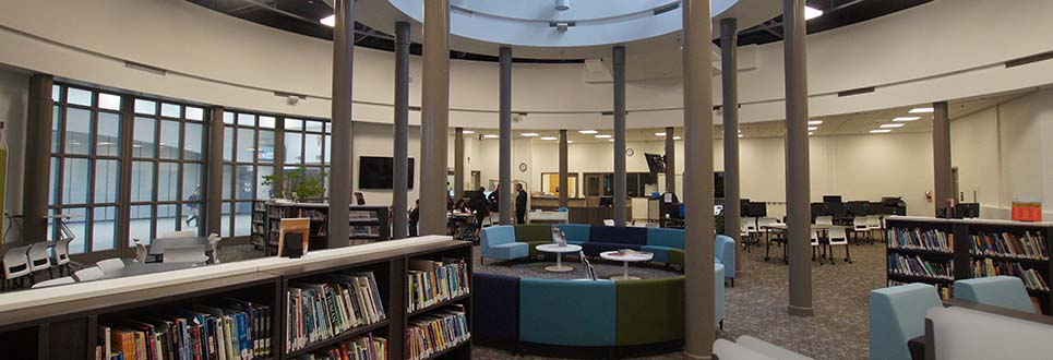 Male and female students working in the library