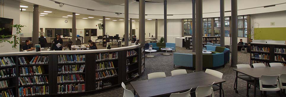 Male and female students working in the library